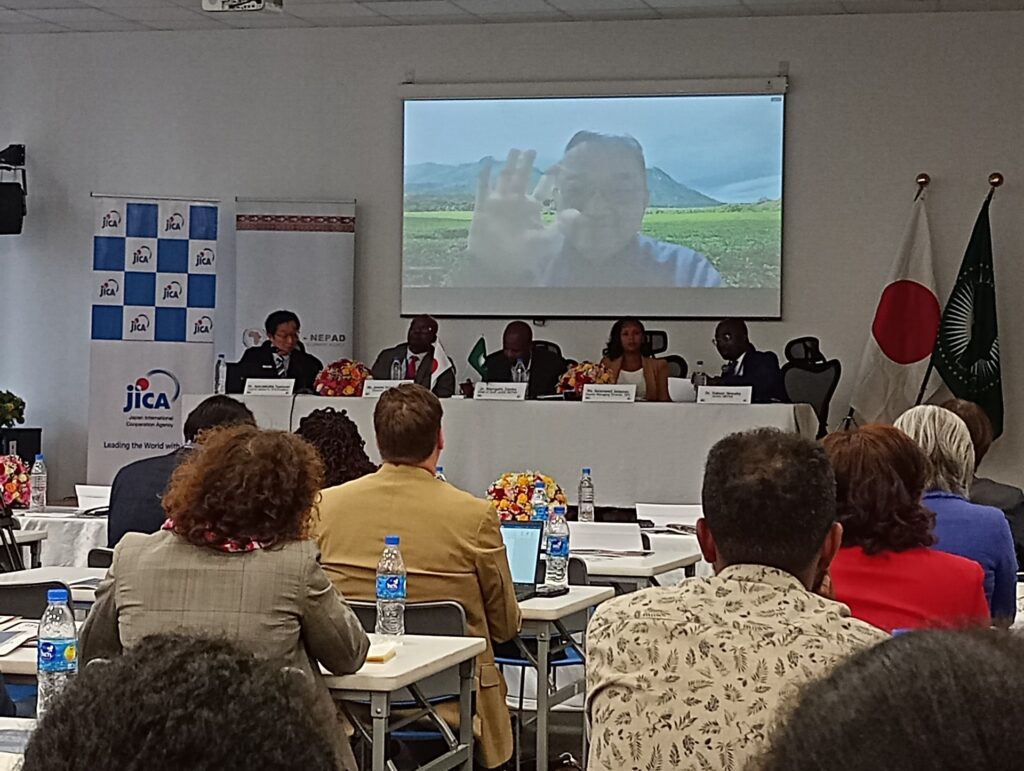 Conference Projector Screen